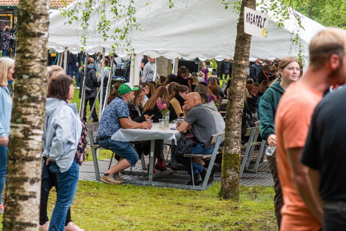 U24 2048 8246