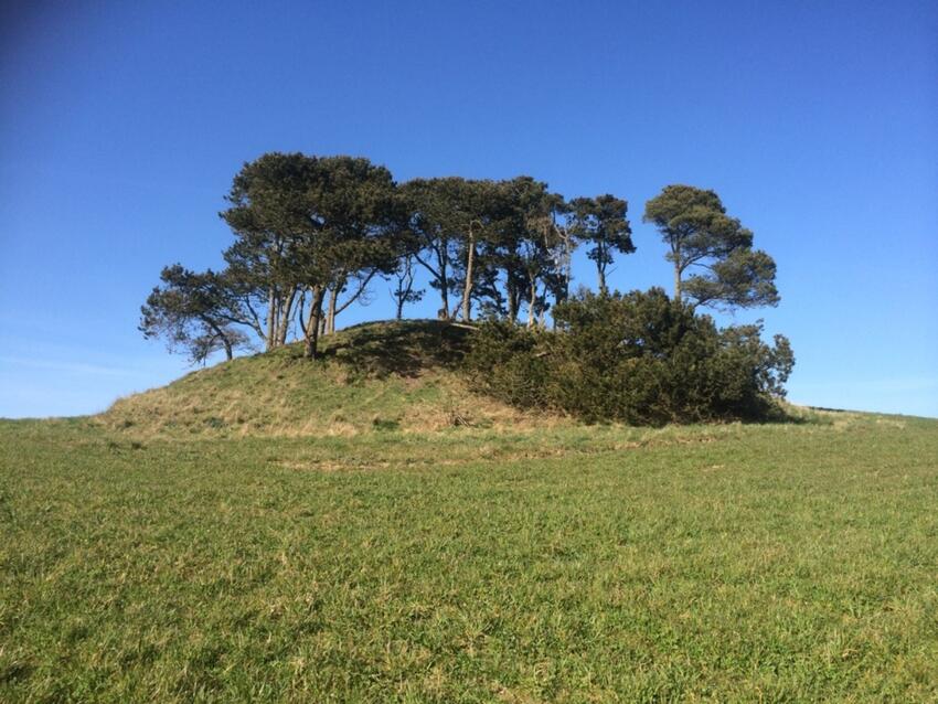 Fortidsmindedag 25. april 2021 på Tremhøj