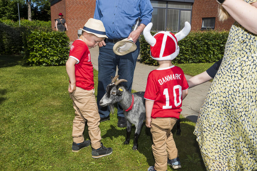 Cirkus i Gedved spredte stor glæde