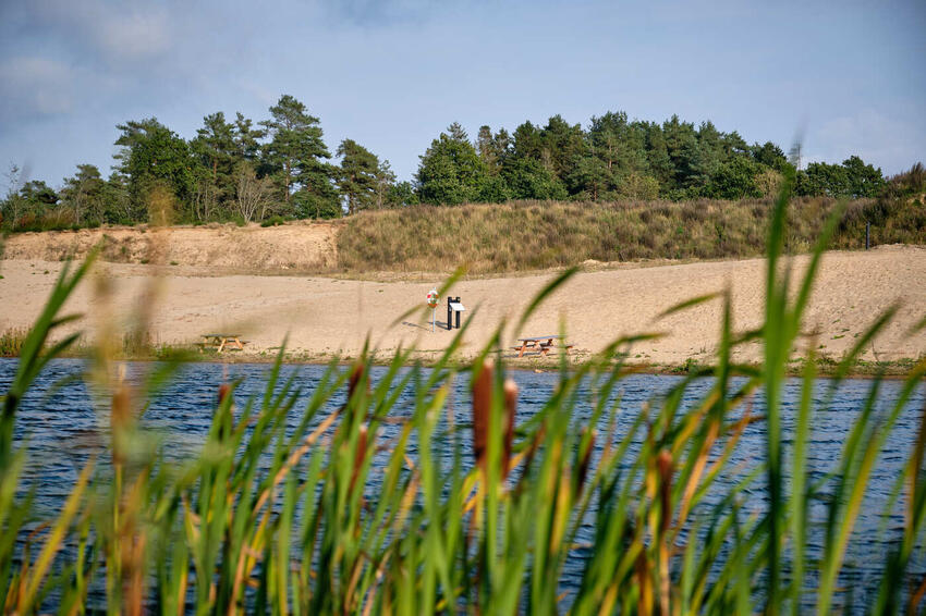 Bakterier i Fyel Badesø og Naldal Sø – undgå badning lige nu