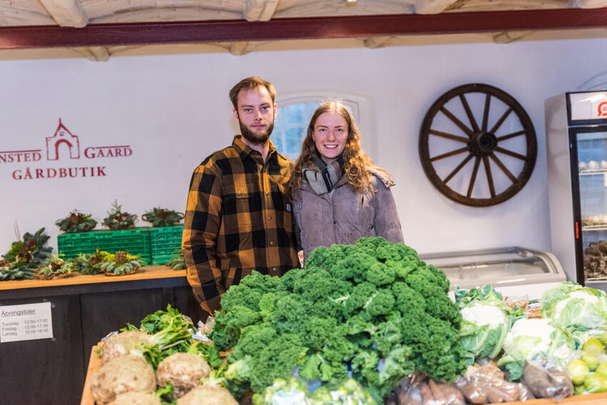 Julemarked på Hanstedgård