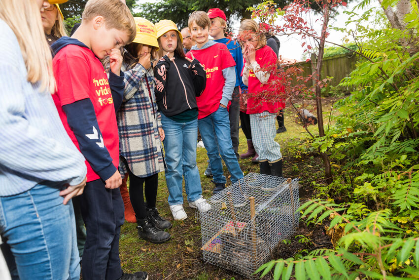 Østbirk skole: De bedste til videnskab