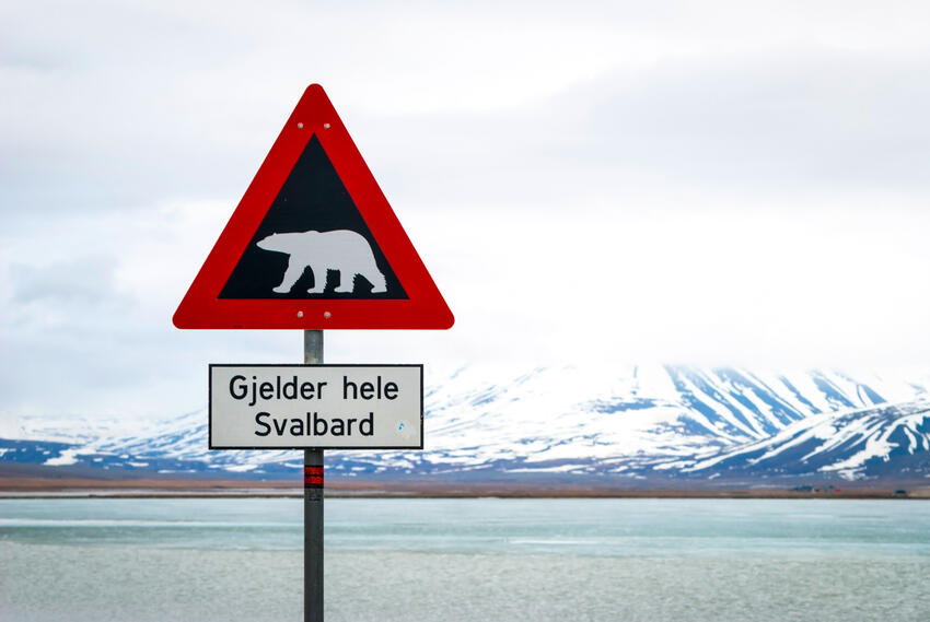 Foredrag om isbjørnenes land, Svalbard