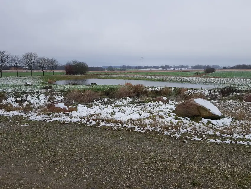 Bliv van(d)vittigt meget klogere på Vandets Dag