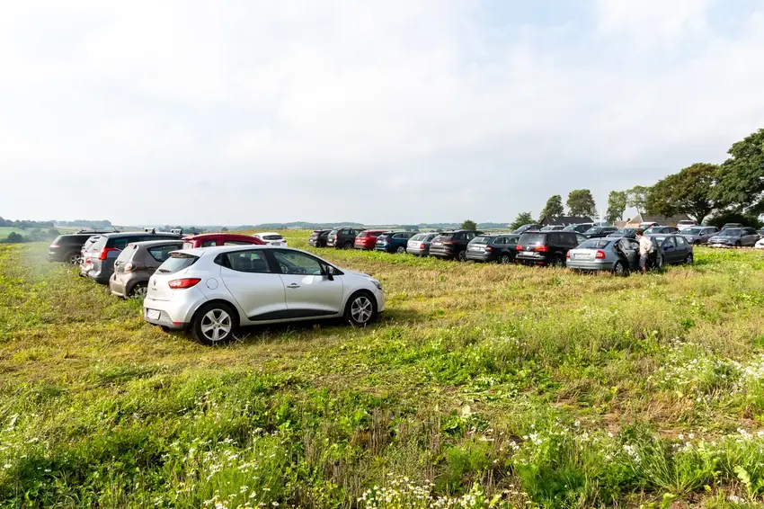 Nærmere på naturen i Sattrup: En dag i grisenes tegn