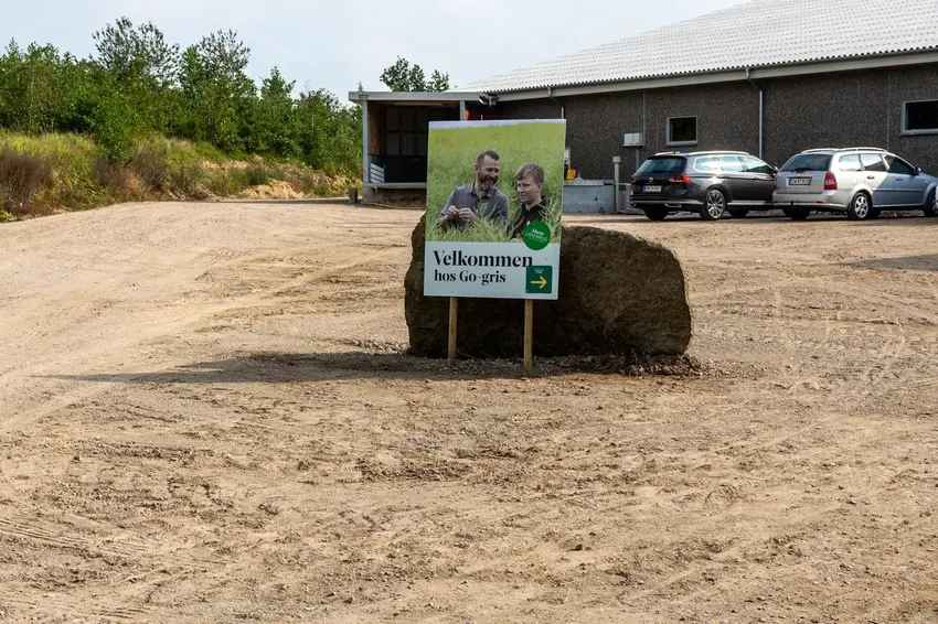 Nærmere på naturen i Sattrup: En dag i grisenes tegn