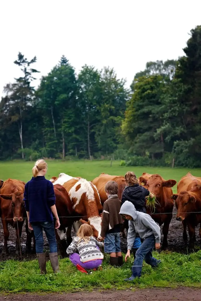 Tag familien med på opdagelse i dansk landbrug