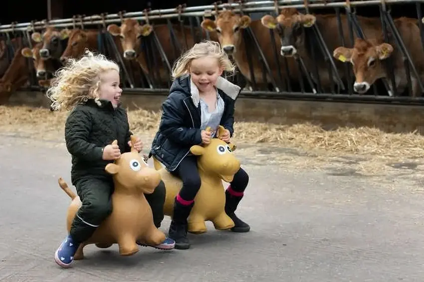 Tag familien med på opdagelse i dansk landbrug