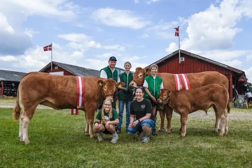 Horsens Dyrskue 2024: Klar, parat, oplev!