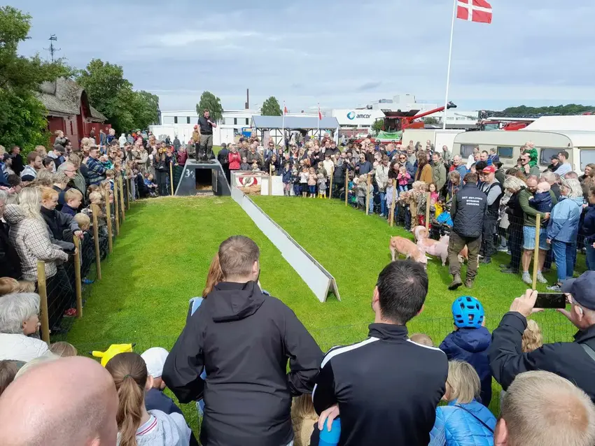 Dyrskue på vej med traktorbrag og staldesnak