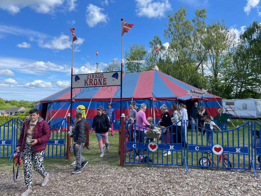 Cirkus i byen – med klovn, isbjørn og smil hele vejen rundt