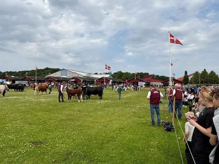 Horsens Dyrskue 2025: Sol, smil og stor succes
