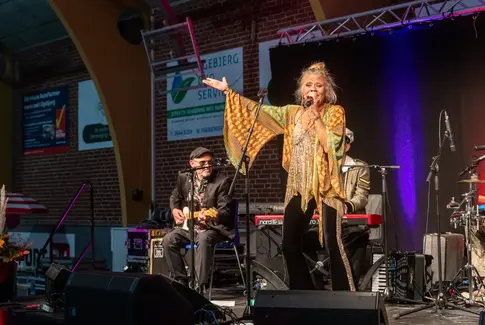Horsensegnens Kulturfestival: Fest, foredrag og favoritmusik