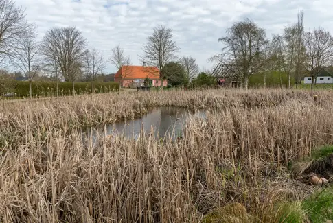 De får travlt i Sdr. Vissing