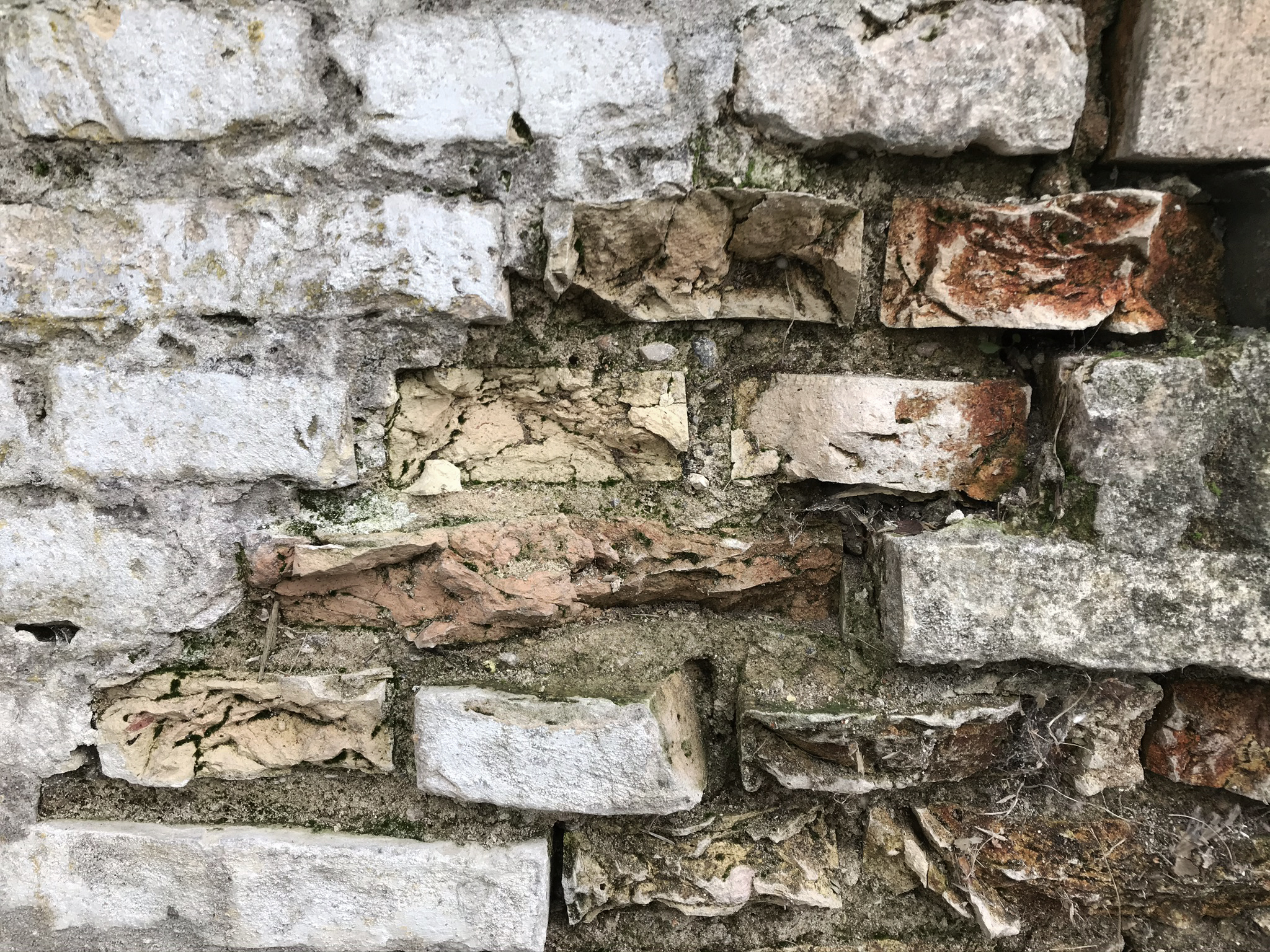 D849b98f 04fb 451f 8bb8 218574558e49