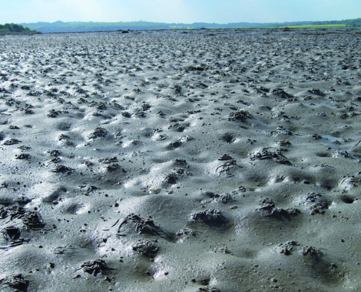 Sandormeland 2