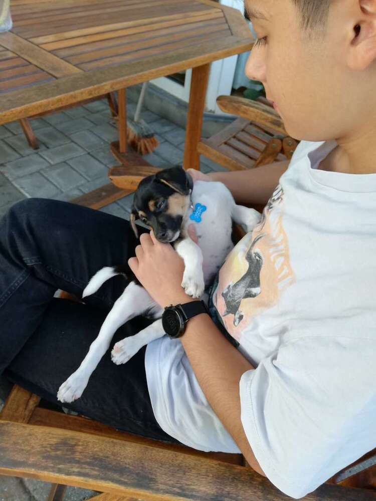 Billede fra Østjysk Nærravis