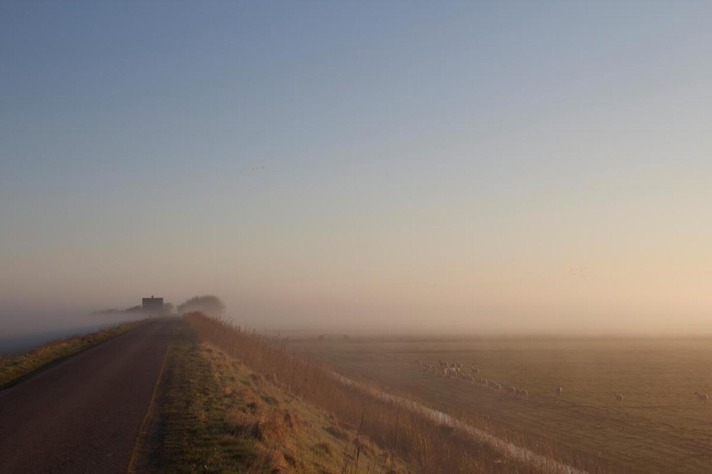 01 21   soenderjyst foto   kristian ditlev jensen