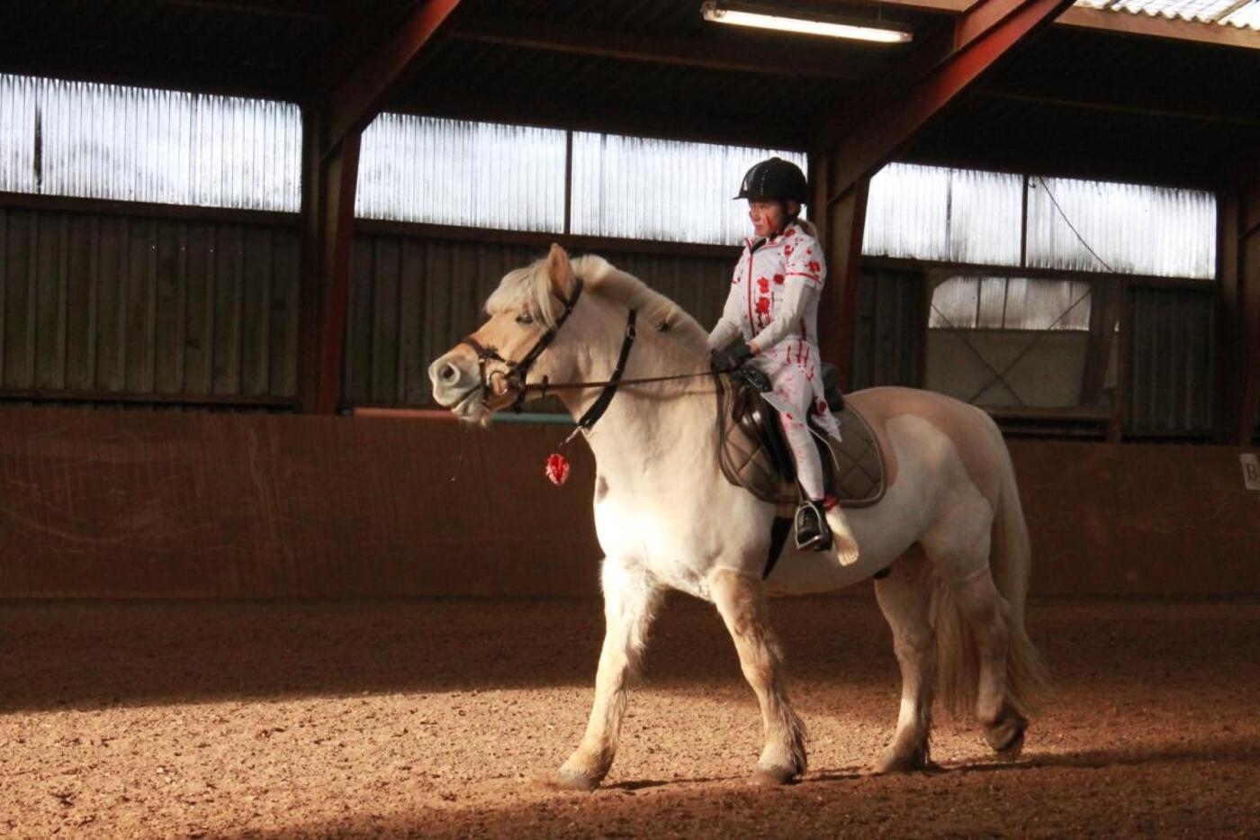 Billede fra Østjysk Nærravis