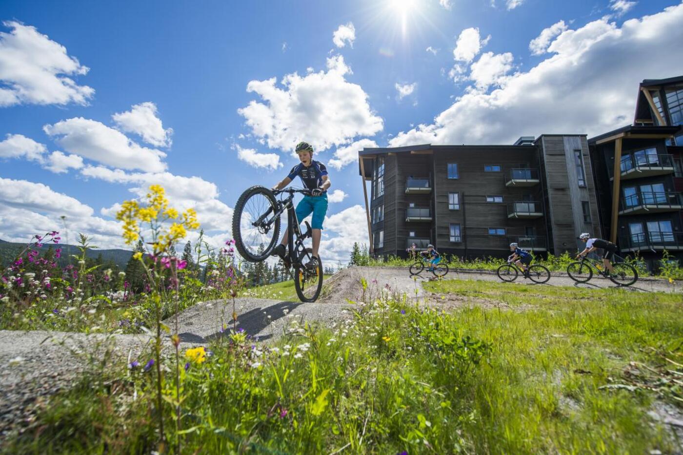 Årets sjoveste sommerjob