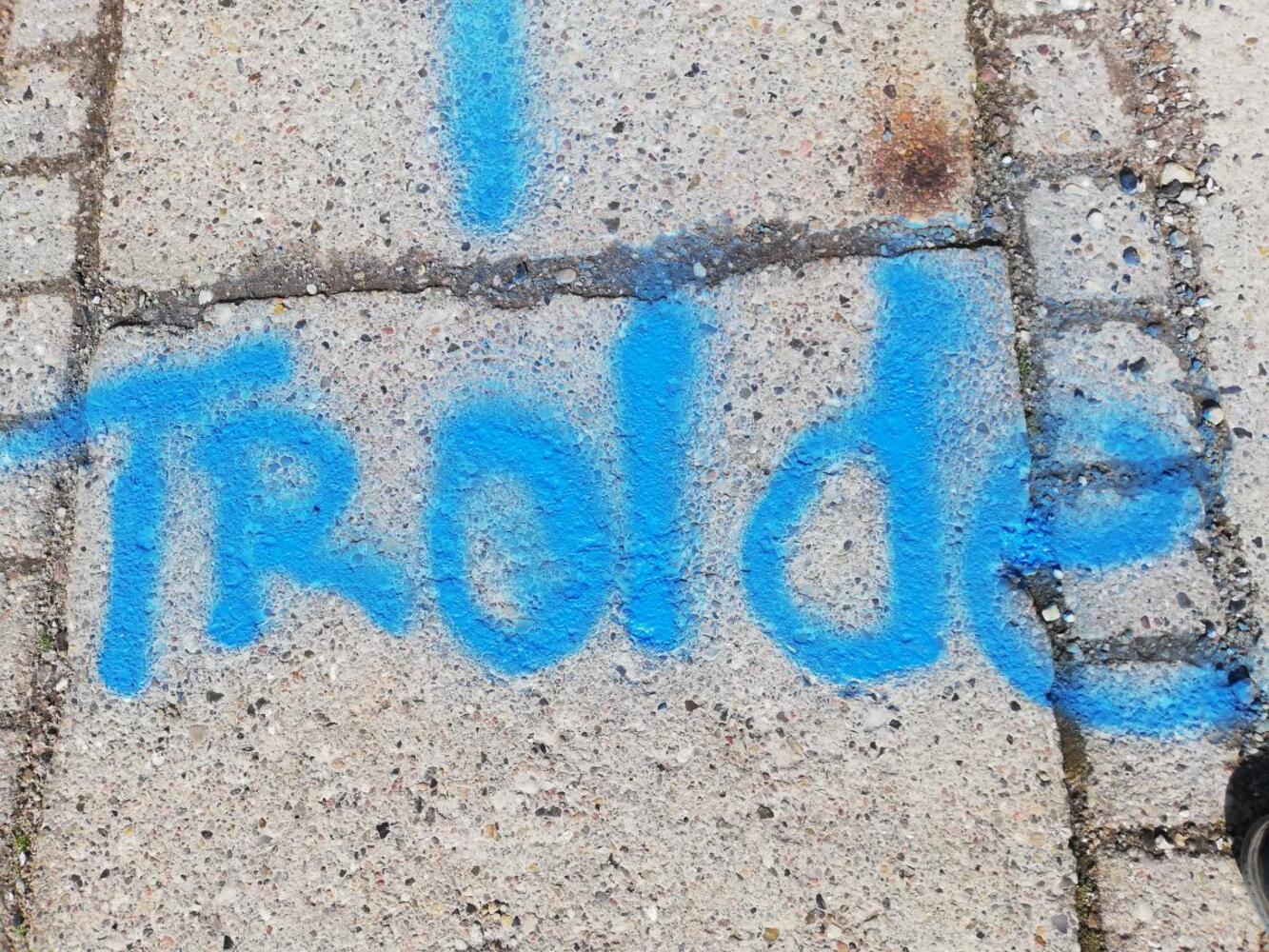 1641443835979385 908927985933877248 n