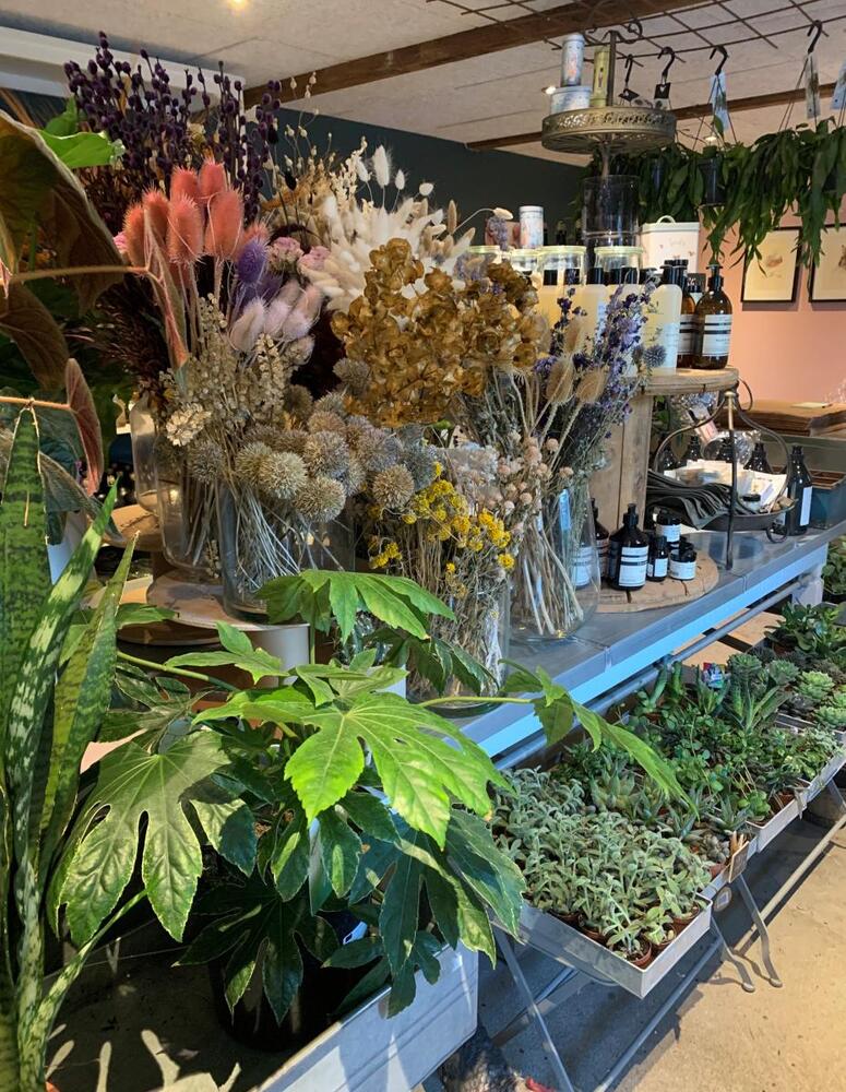 D4fkwjwdq6itxuwjtitd5a 2