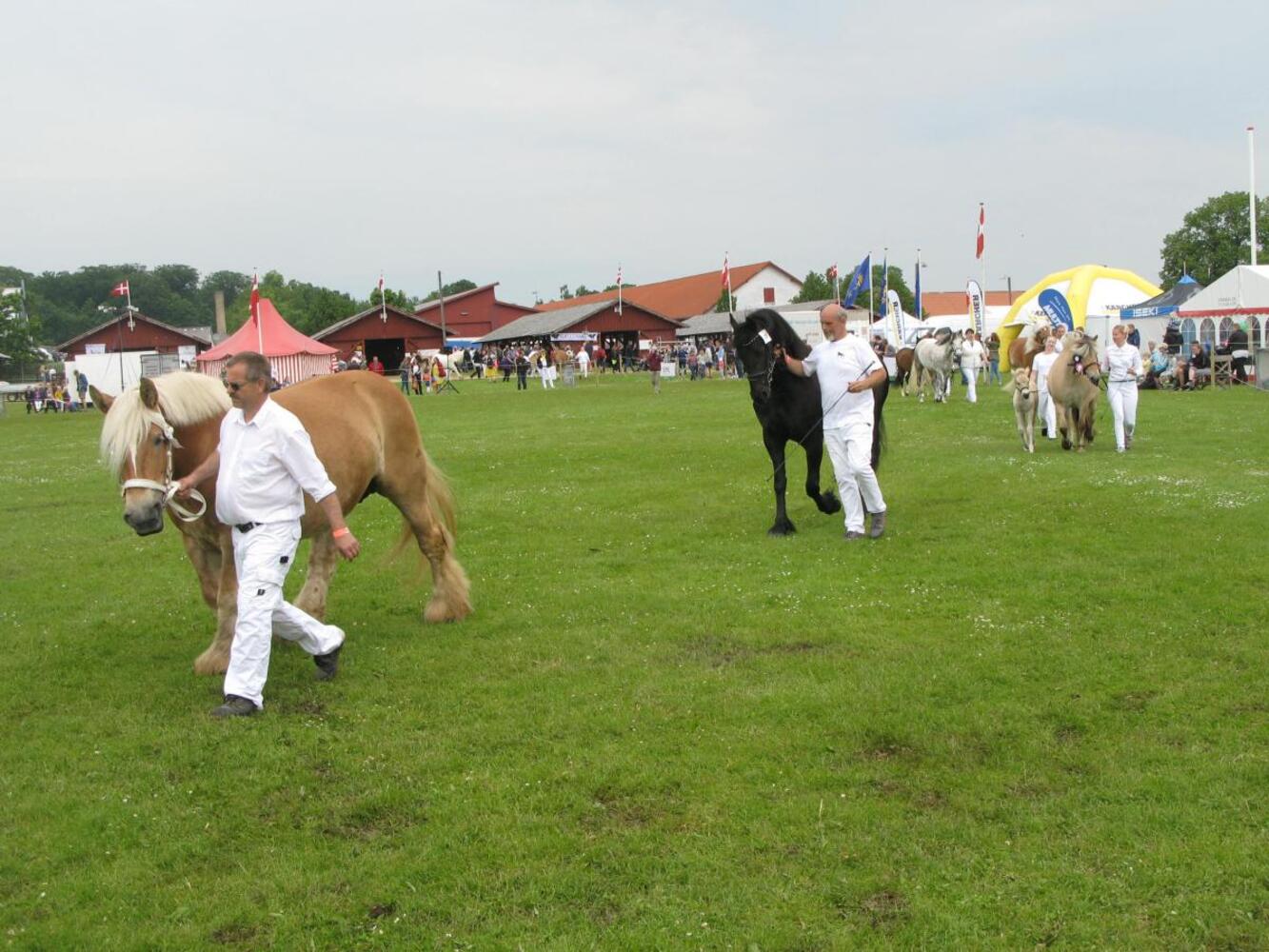 Dyrskue loerdag 15 51