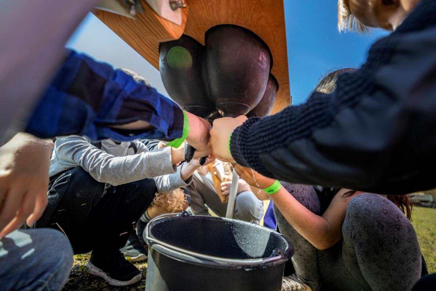 Faellesmalkning2019 fotohanne5