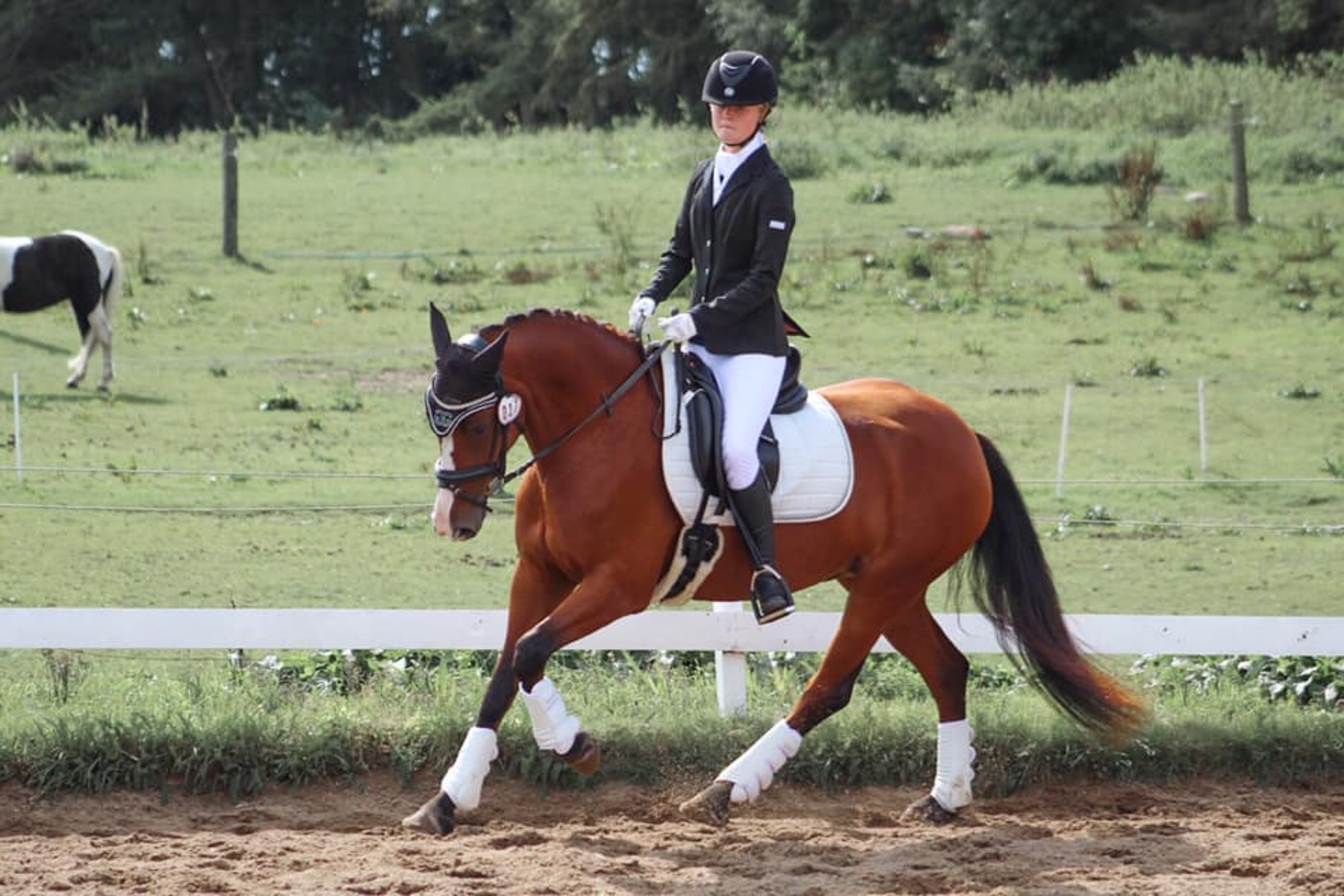 Fb img 1567403984012