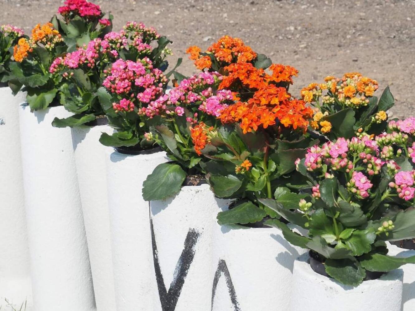 Fb img 1567975194328