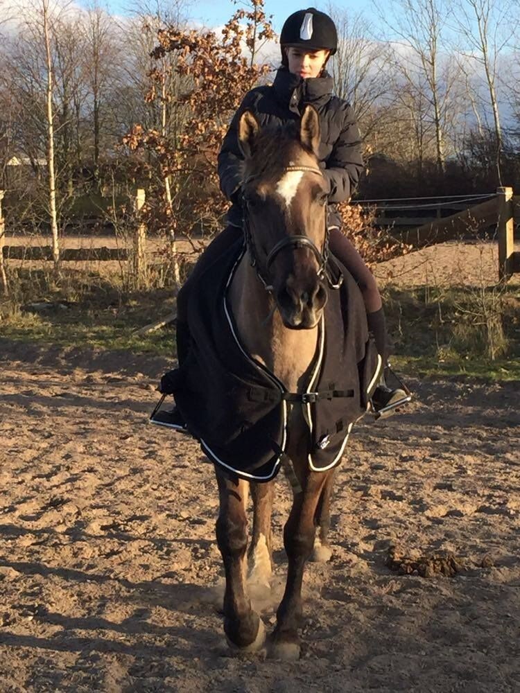 Foto laerke skovhus joergensen   det er okay at ride udenfor nu hvor det er saa dejligt et vejr