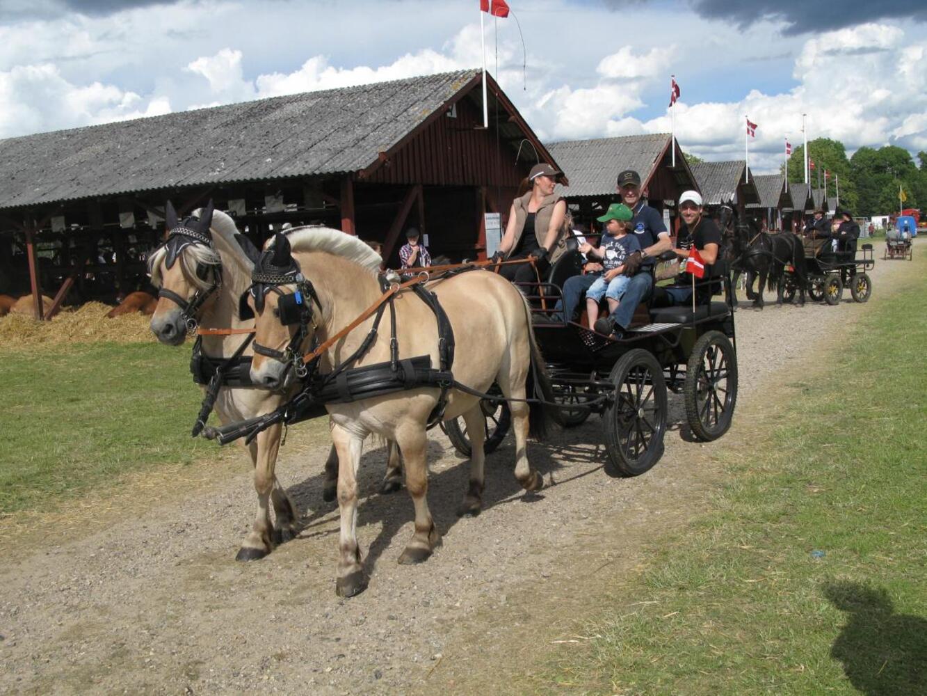 Fredag 119