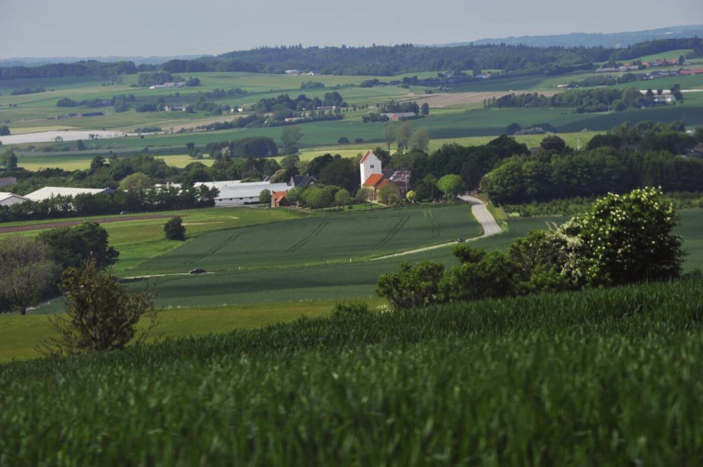 Friluftsgudstjeneste yding skovhoej hah1796