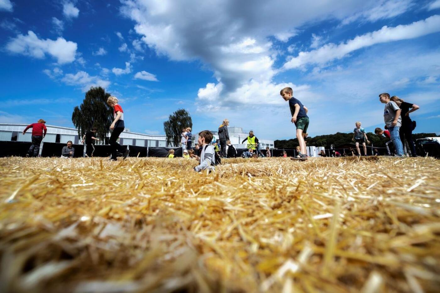 Halmlabyrint2019 fotohanne5