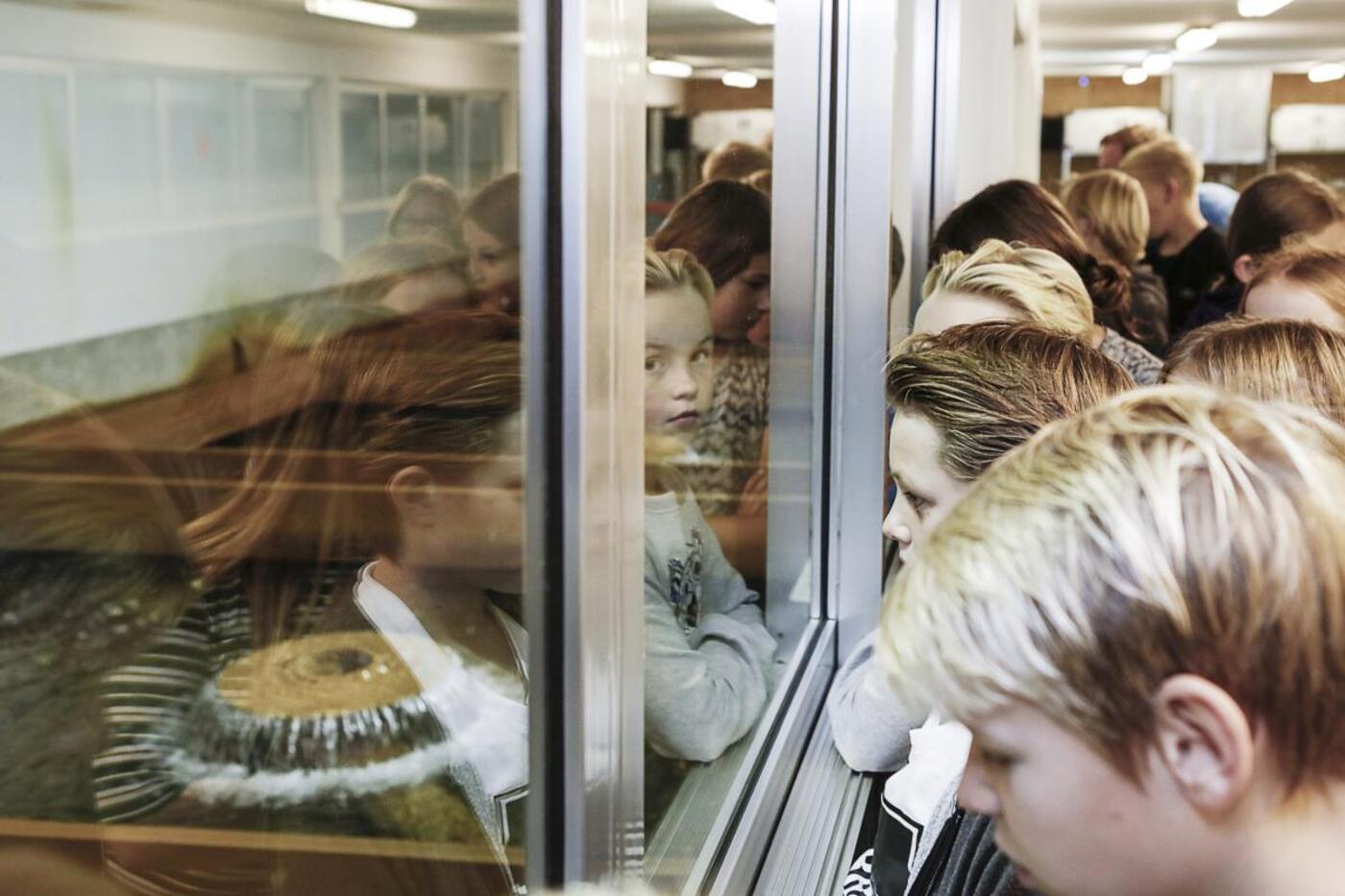 Hoejballegaard   5a   filtrering