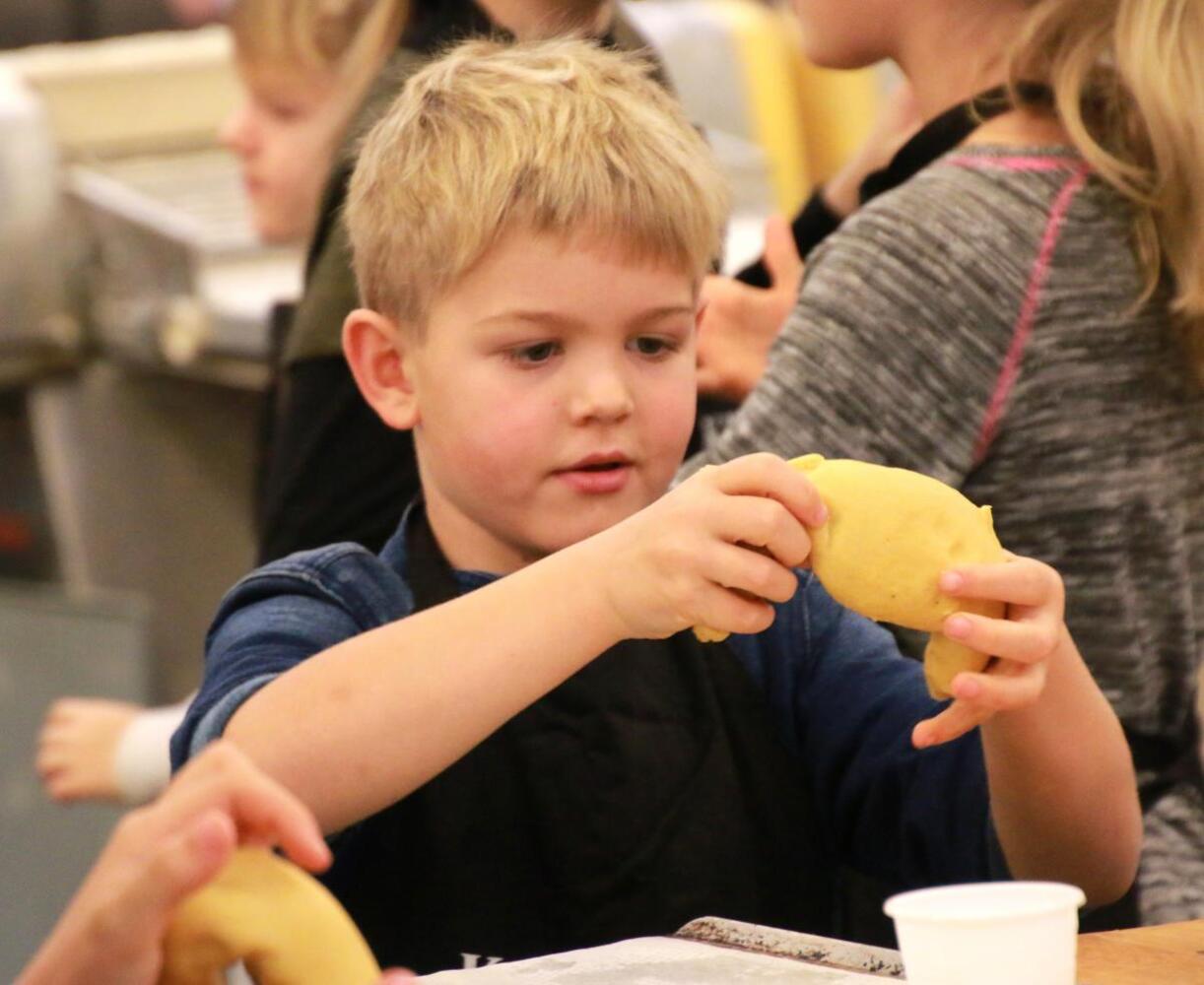 Img 0252