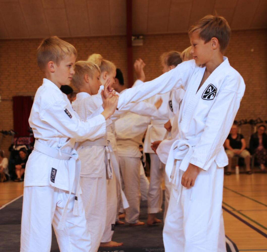 Img 0862