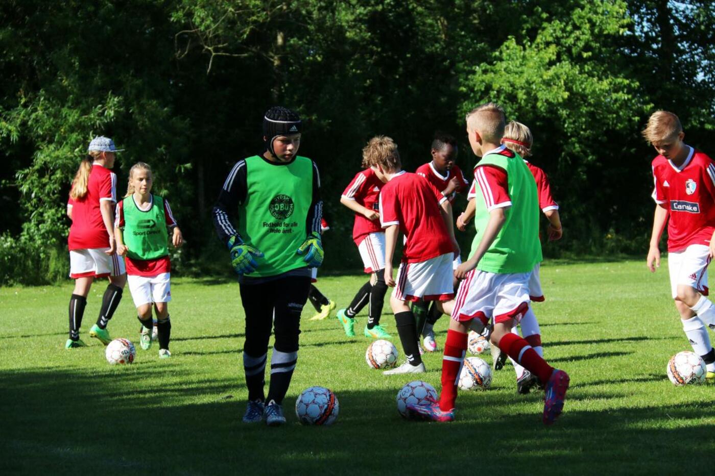 Img 2093