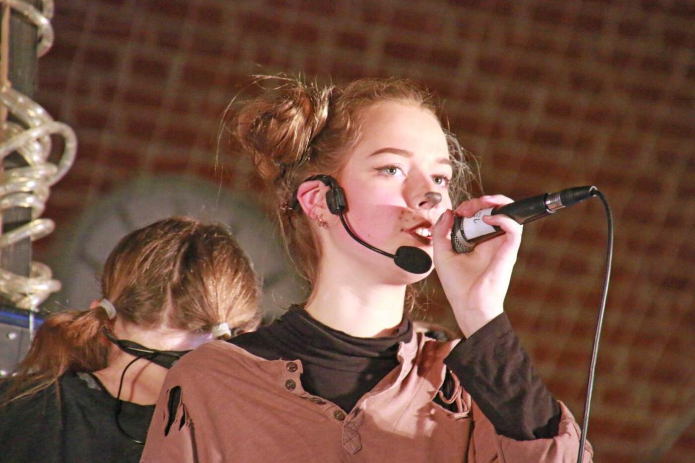 Img 2646