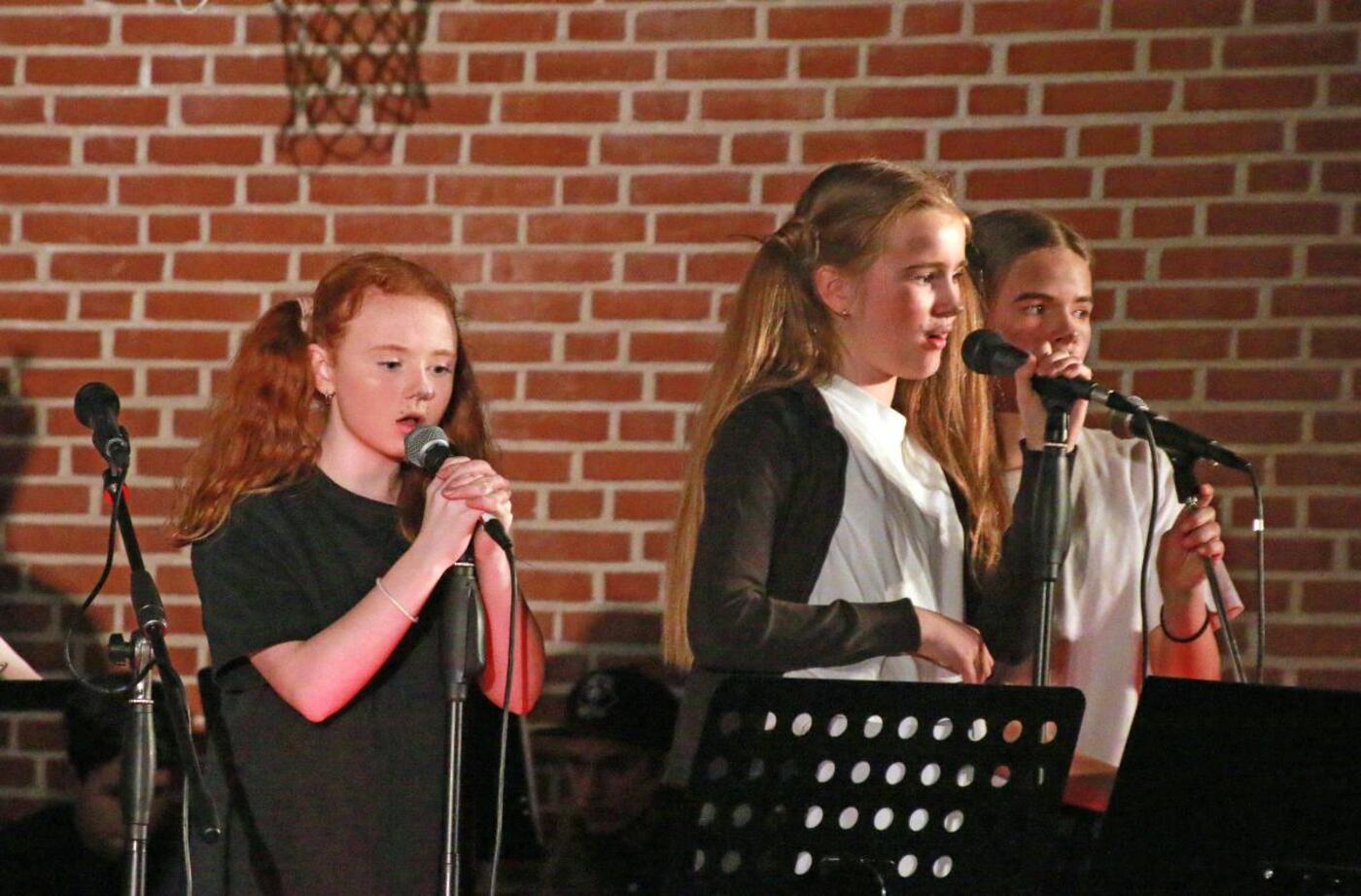 Img 2714