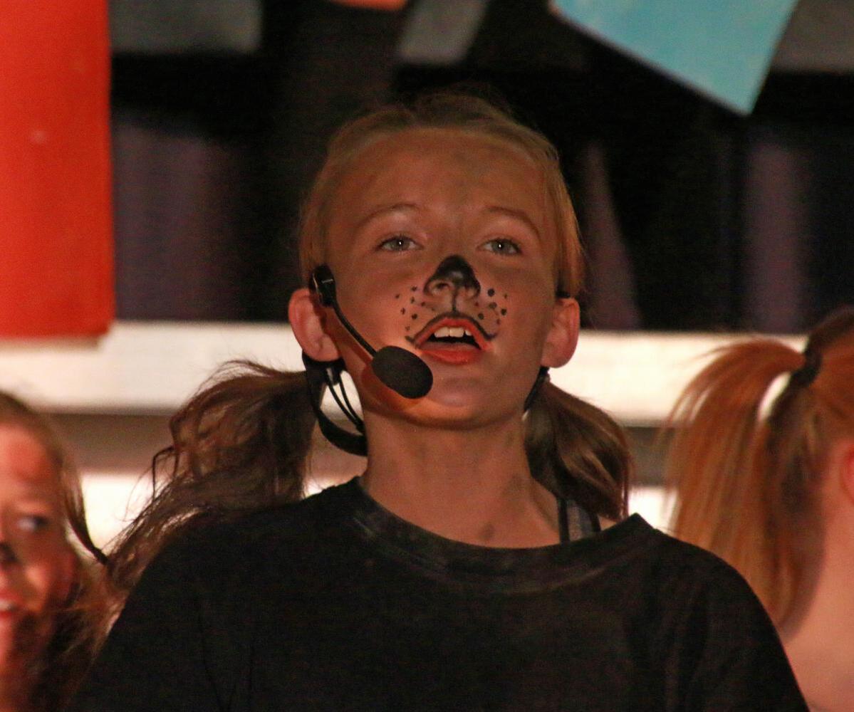 Img 2773