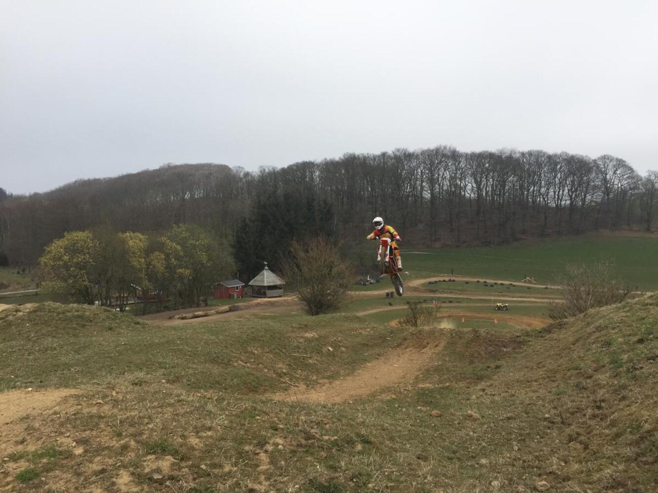 Img 3980