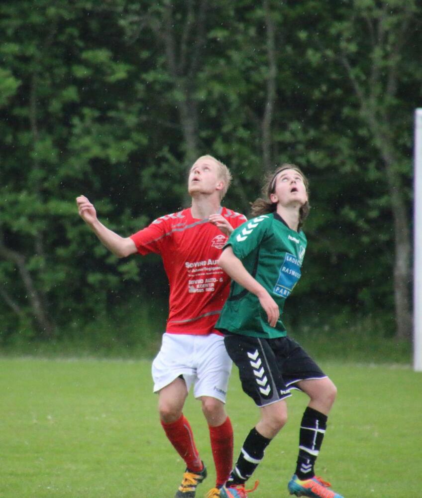 Img 9748