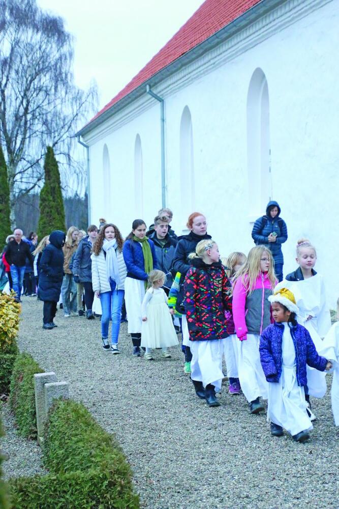 Juleoestbirk2
