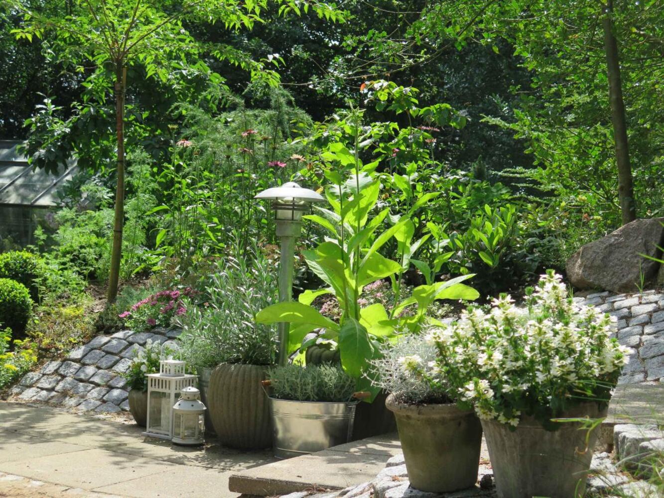 Krukkehaven juli 16 1