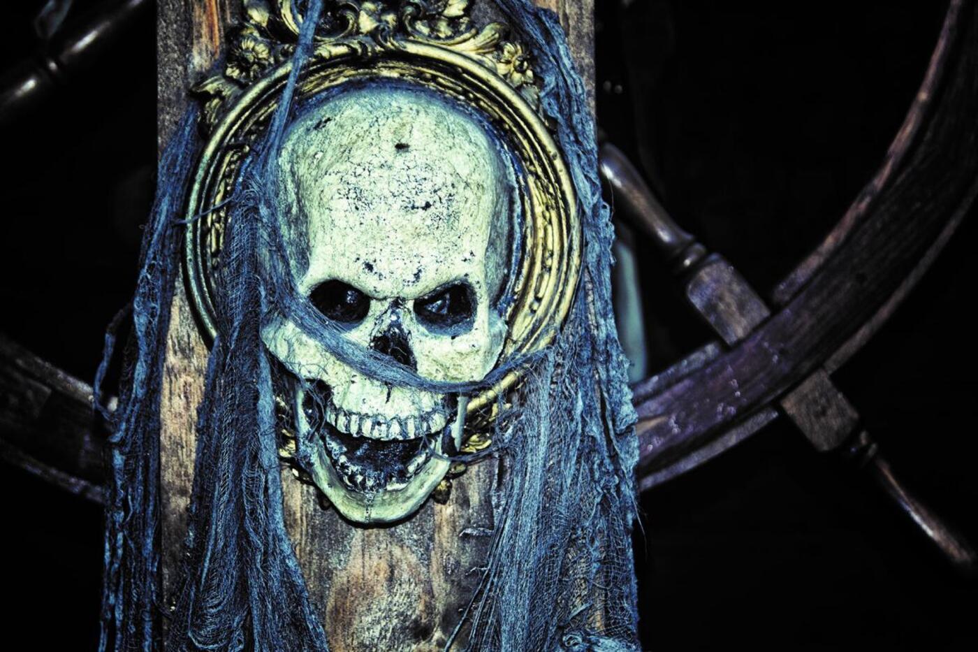 Skull