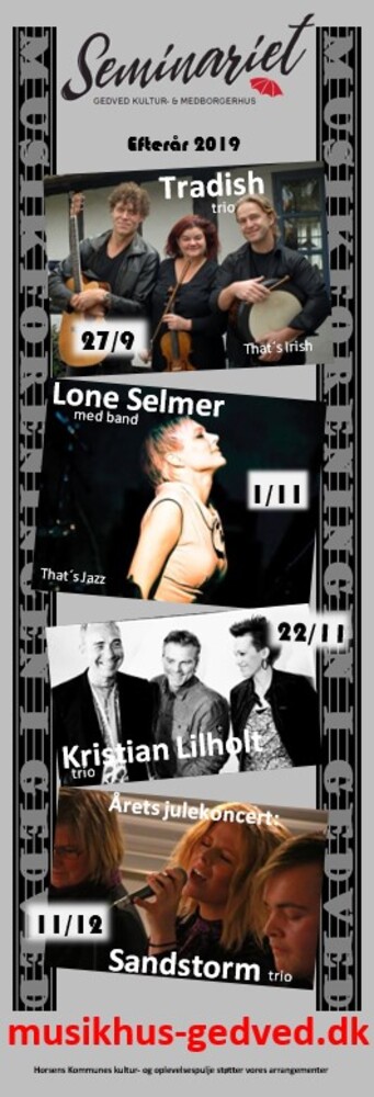 Trailer enkelt 02 002