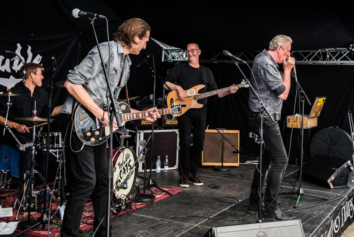 Trouble cats pr foto frank nielsen