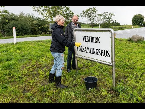 Preview image for the video "Smukke Vestbirk gør klar til fest".