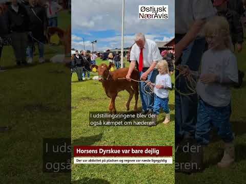 Preview image for the video "Horsens Dyrskue var helt i top".